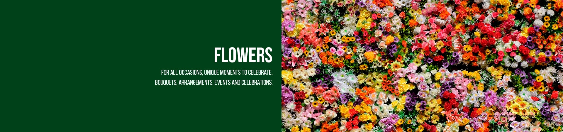 Fresh Flowers Orlando, Flowers delivery, your florist in Orlando FL, we deliver your orders of flowers and arrangements for all occasions.