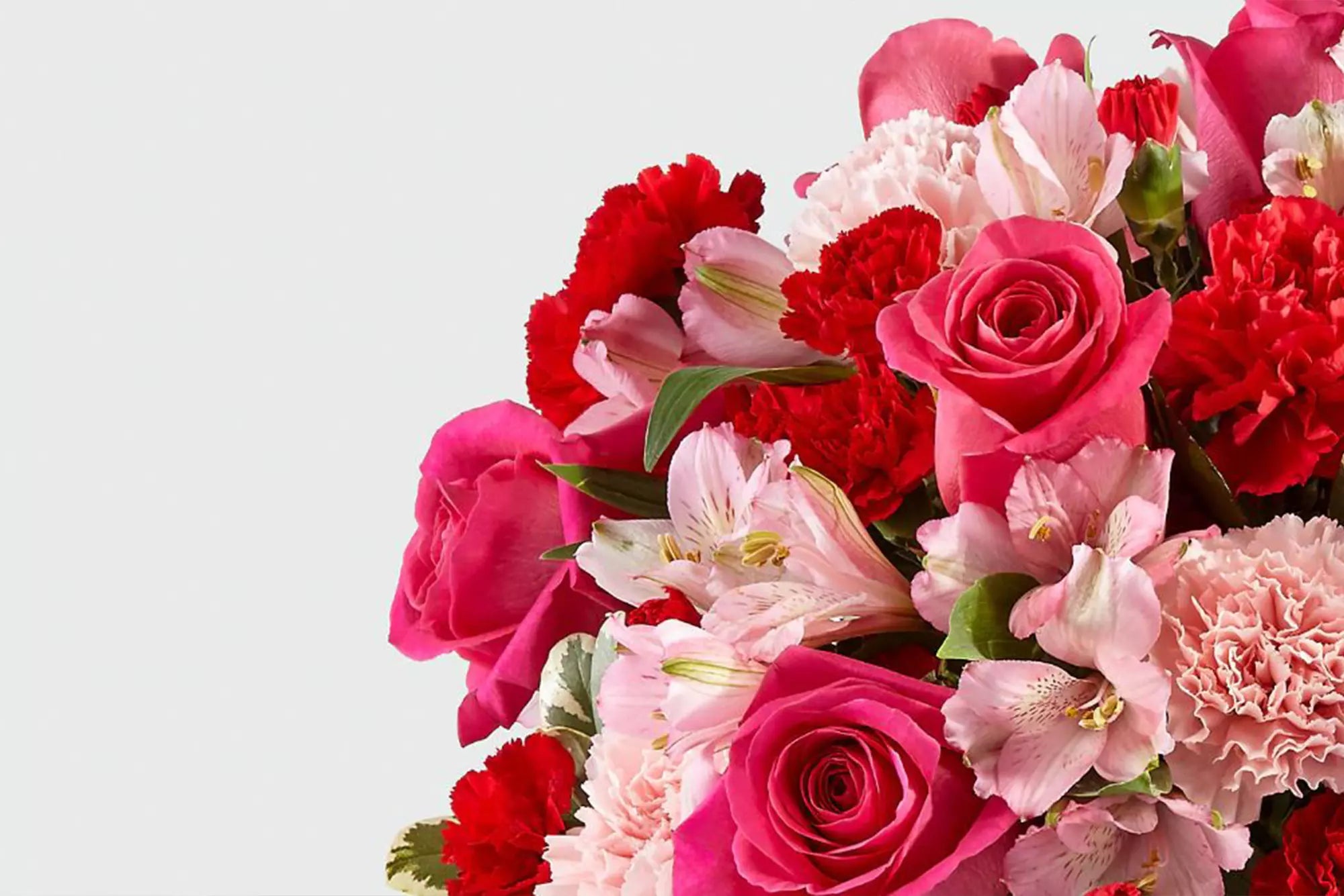 Beautiful roses, Rosas bonitas, banner promocional Fresh Flowers Orlando