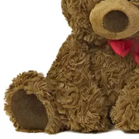 Coco Bear. Standing at 10.5 inches tall, this stuffed animal is crafted from the finest coco material, making it perfect for cuddling. Fresh Flowers Orlando, footer view