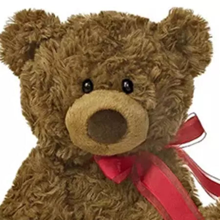 Coco Bear. Standing at 10.5 inches tall, this stuffed animal is crafted from the finest coco material, making it perfect for cuddling. Fresh Flowers Orlando, head view