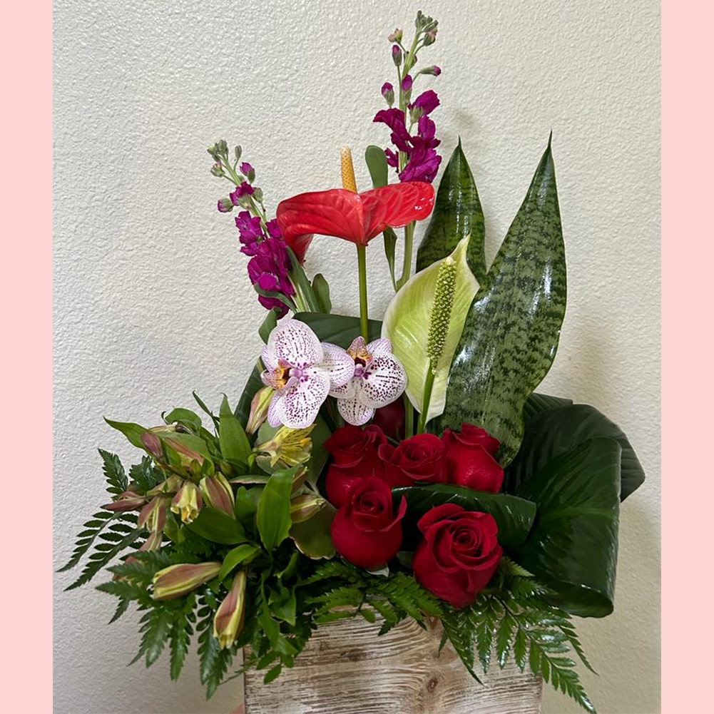Jardín Emamorado, Regalar Este Arreglo Es Una Forma Romántica De Demostrar Su Amor. Rosas Rojas, Anturios, Astromelias, Orquídea. Regala Flores Para Aniversario, Flores Para Enamorar. Fresh Flowers Orlando, Delivery in Orlando, FL, Florist.