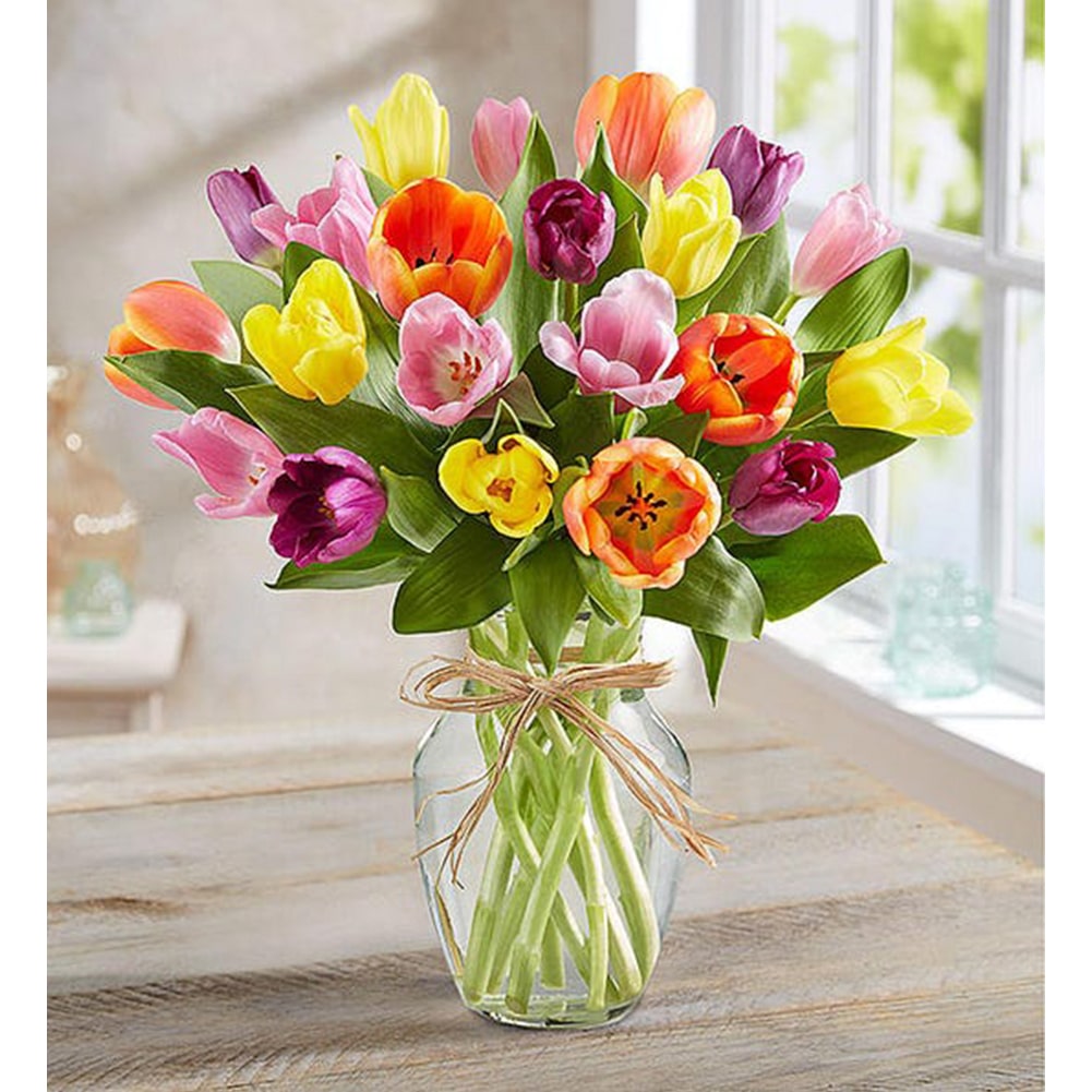 Primavera con Tulipanes: Arreglo Con 20 Tulipanes Colores + Jarrón Transparente, Decoración Hogar. Spring with Tulips: Arrangement With 10, 15 or 20 Colored Tulips + Transparent Vase, Home Decoration. Fresh Flowers Orlando, Florist
