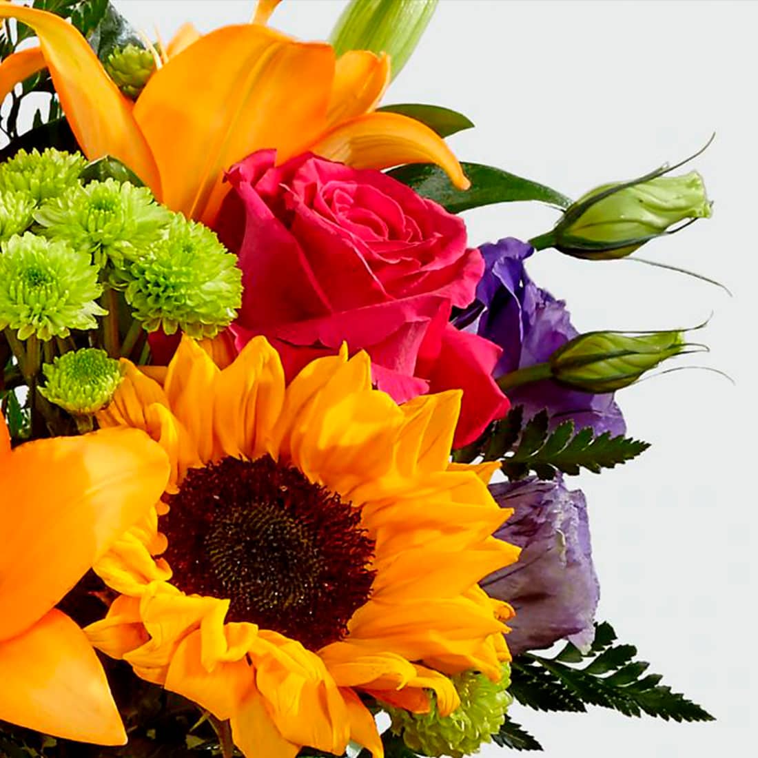 Fresh Flowers Orlando Regala Flores y Sonrrisas - Colección Happy Birthday Flowers