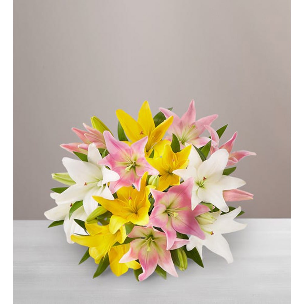 Lirios Dulce Primavera