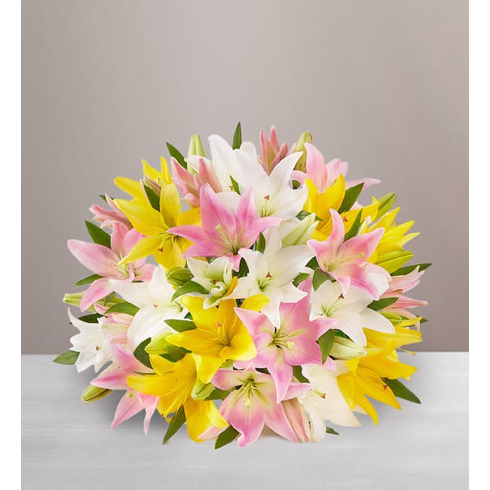 Lirios Dulce Primavera