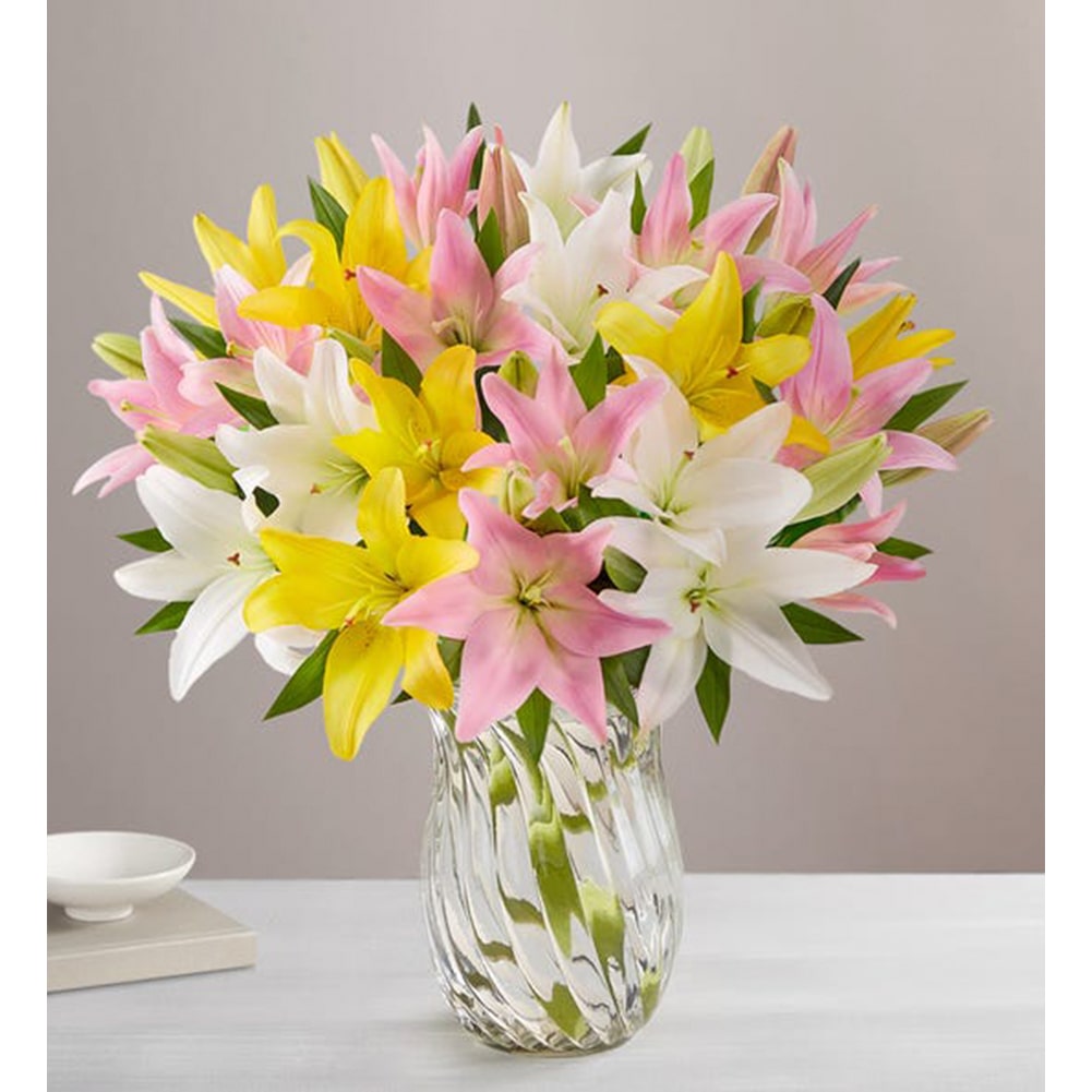 Lirios Dulce Primavera