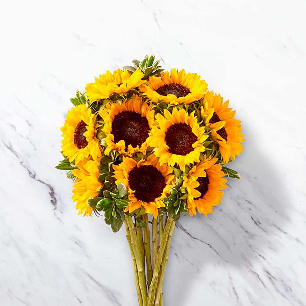 Girasoles, presentación bouquet 10 girasoles, a medida que cambia el clima, el otoño se está presentando, presentamos los girasoles con nuestro jarrón transparente o en ramo (bouquet) es un hermoso regalo para cumpleaños, simpatía o simplemente porque es una buena ocasión Fresh Flowers Orlando