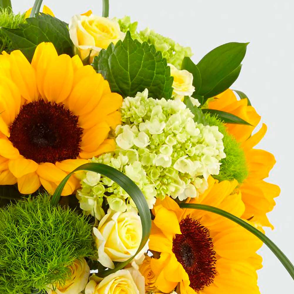 Paraíso Orange, a medida que cambia el clima, el otoño se está presentando, este arreglo está diseñado con girasoles, hortensias y rosas, nuestro jarrón transparente es un hermoso regalo para cumpleaños, simpatía o simplemente porque es una buena ocasión Fresh Flowers Orlando