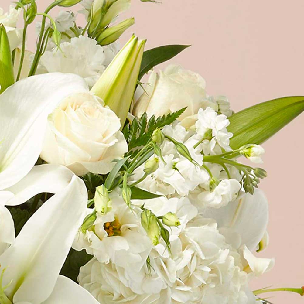 Sympathy Por Siempre Amigos (Remembrance), Si bien los lirios pueden llegar inicialmente en forma de capullo, se transforman en flores que revientan cuando se abren. Un ramo deslumbrante es una forma reflexiva de enviar sus condolencias en tiempos difíciles. Fresh Flowers Orlando.
