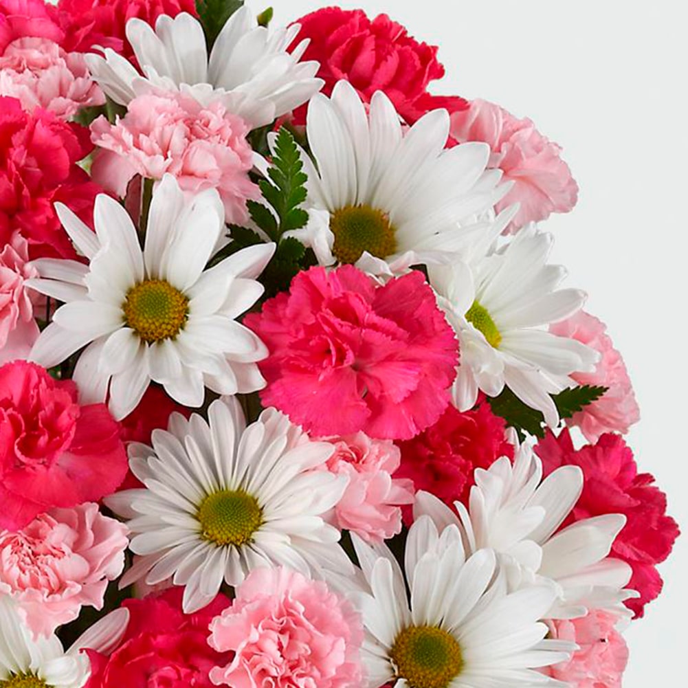 Amor en primavera, Fresh Flowers Orlando, Florist Regalo De Flores Para Toda Ocasión, Arreglo Flores Amor Primaveral, Claveles, Margaritas, es un hermoso regalo de aniversario, regalo de flores de cumpleaños.Floristería En Orlando, FL. Delivery