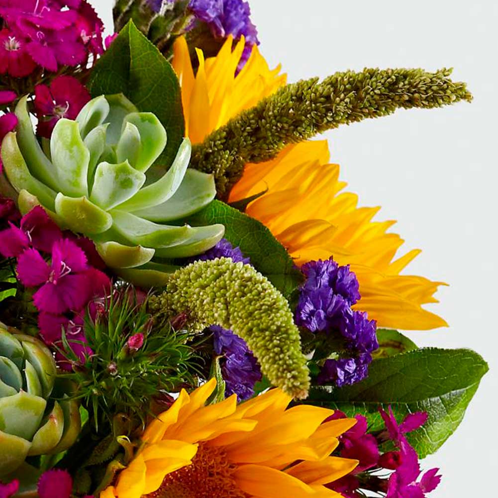 Girasoles, presentación bouquet o jarrón transparente, a medida que cambia el clima, el otoño se está presentando, presentamos los girasoles con nuestro jarrón transparente o en ramo (bouquet) es un hermoso regalo para cumpleaños, simpatía o simplemente porque es una buena ocasión Fresh Flowers Orlando