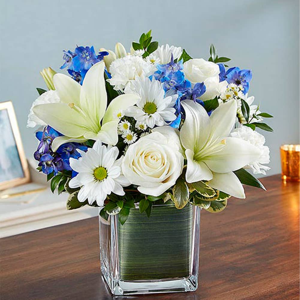 Sympathy Azul y Blanco, Medium, Fresh Flowers Orlando. Our sympathy arrangement of fresh blue delphinium, white roses and lilies, expertly gathered together in a clear glass cube lined with Ti leaf ribbon, makes for an exquisite gesture of comfort and healing. Nuestro arreglo de condolencias de Blue Delphinium fresca, rosas blancas y lirios, decorado en un cubo de vidrio transparente forrado con una cinta de hojas frescas, lo convierte en un exquisito gesto de consuelo y sanación.