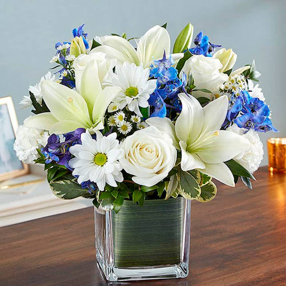 Sympathy Azul y Blanco, Large, Fresh Flowers Orlando. Our sympathy arrangement of fresh blue delphinium, white roses and lilies, expertly gathered together in a clear glass cube lined with Ti leaf ribbon, makes for an exquisite gesture of comfort and healing. Nuestro arreglo de condolencias de Blue Delphinium fresca, rosas blancas y lirios, decorado en un cubo de vidrio transparente forrado con una cinta de hojas frescas, lo convierte en un exquisito gesto de consuelo y sanación.