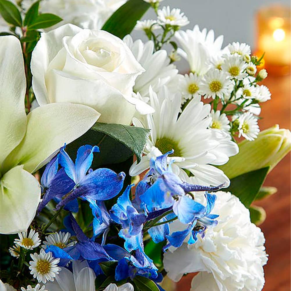 Sympathy Azul y Blanco, Fresh Flowers Orlando. Our sympathy arrangement of fresh blue delphinium, white roses and lilies, expertly gathered together in a clear glass cube lined with Ti leaf ribbon, makes for an exquisite gesture of comfort and healing. Nuestro arreglo de condolencias de Blue Delphinium fresca, rosas blancas y lirios, decorado en un cubo de vidrio transparente forrado con una cinta de hojas frescas, lo convierte en un exquisito gesto de consuelo y sanación.
