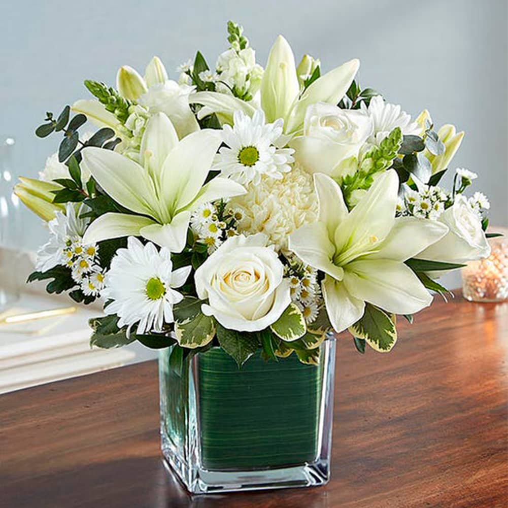 Sympathy Blanco, Size Large, Fresh Flowers Orlando. Our sympathy arrangement of angelic white roses, lilies, mums, daisy poms and more, expertly arranged in a clear glass cube lined with a Ti leaf ribbon, makes for an exquisite gesture of comfort and healing. Nuestro arreglo de condolencias de rosas blancas angelicales, lirios, crisantemos, pompones de margaritas y más, hábilmente dispuestos en un cubo de vidrio transparente forrado con una cinta de hojas de Ti.