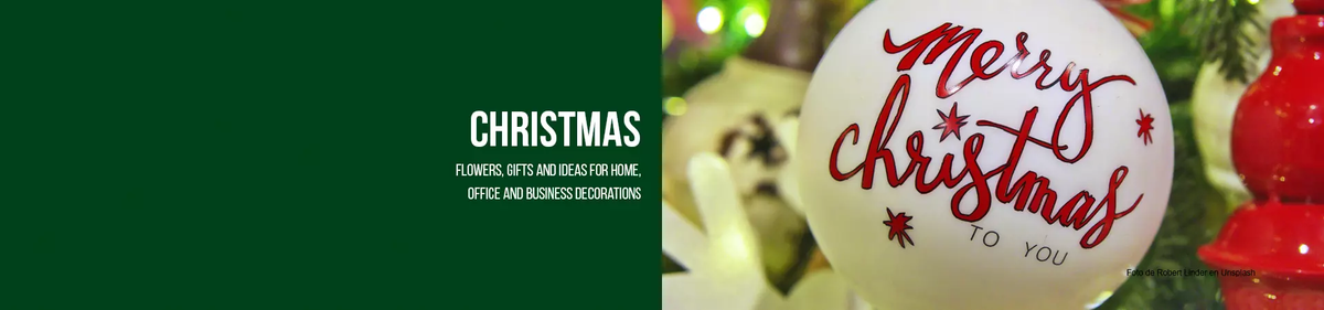 Christmas, Home Decoration Ideas, Christmas Flowers 2023, Christmas, poinsettias, we are florists, Fresh Flowers Orlando, FL Christmas bouquets and wreaths, we deliver your flowers to your home, Orange County