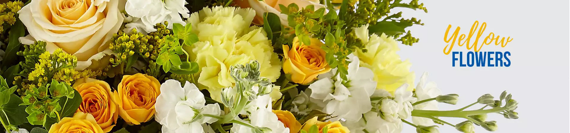 Welcome to spring, Fresh Flowers Orlando, banner ad with yellow flowers. Bienvenida a la primavera, banner publictario con flores amarillas