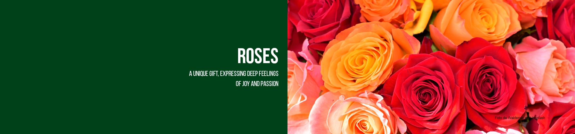Send flowers and gifts with roses and chocolates, we are florists in Orlando, we deliver your roses at home, local deliveries.