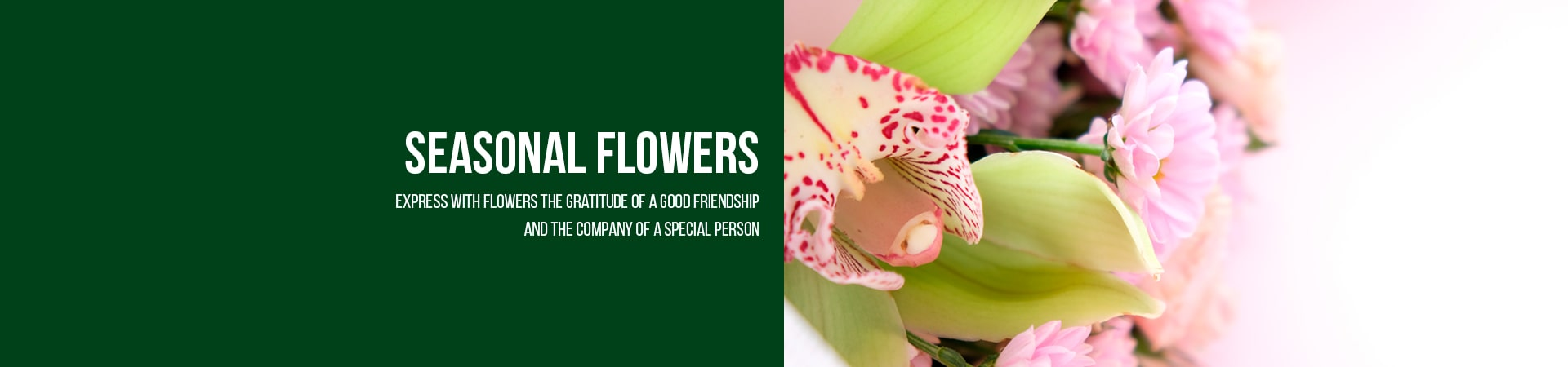 Roses, Lilies, Sunflowers, Seasonal Flowers. Our florist designs and prepares that special arrangement with seasonal flowers for you, we deliver locally in Orlando, FL. Fresh Flowers Orlando