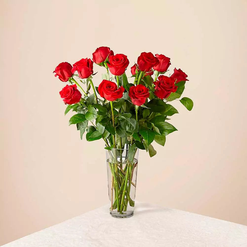 12 Red Roses Long Stem, A Beautiful Gift For Anniversary, Flower Gift For Birthday, Flowers For All Occasions And Decoration, Delivery in Orlando FL, Florist. Fresh Flowers Orlando