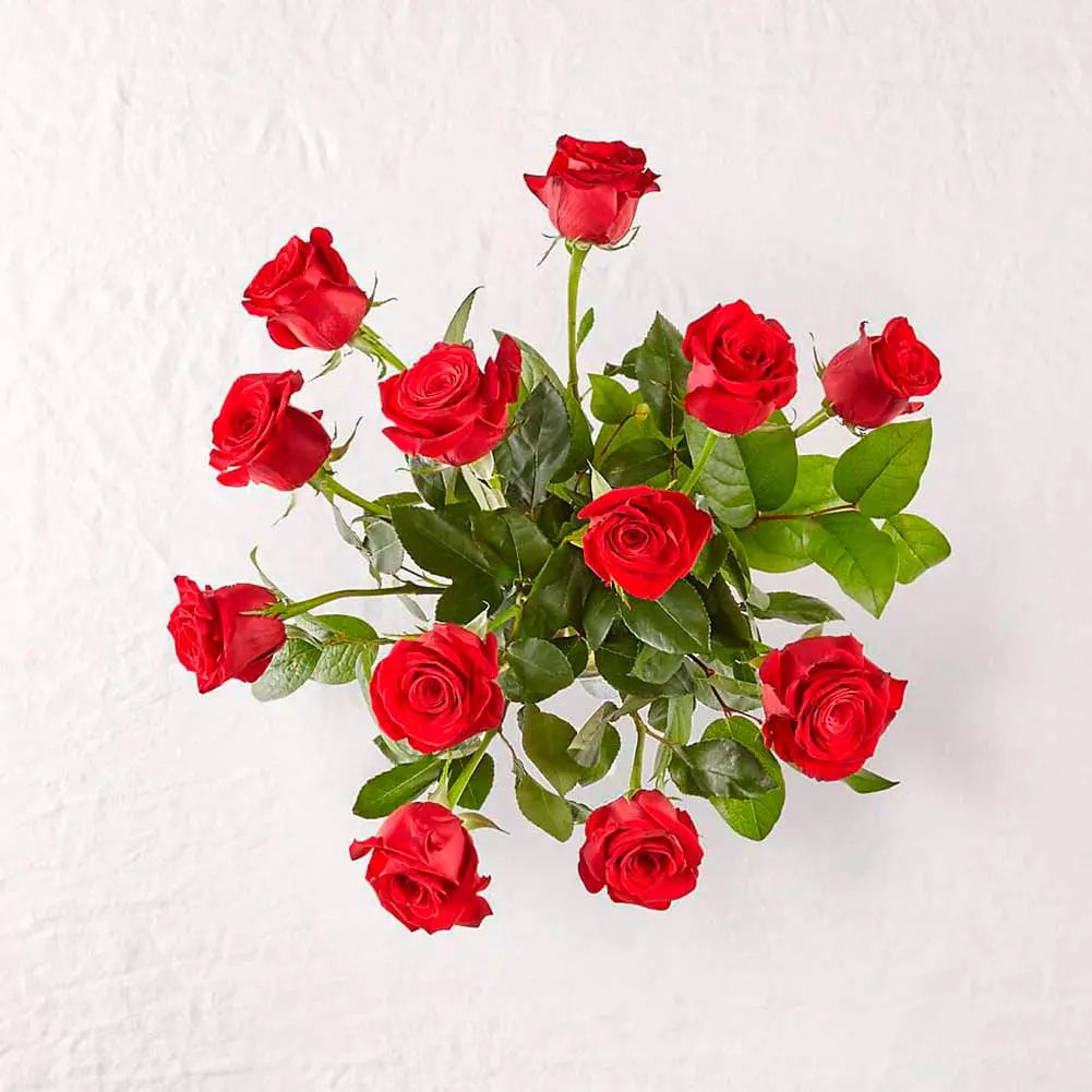 12 Rosas Que Enamoran, Hermosas Rosas Rojas En Jarrón De Vidrio Transparente Para Decorar y Regalar, Flores Para Regalar De Cumpleaños, Rosas Rojas, Entregamos Sus Flores en Orlando FL, Florista, Floristería. Fresh Flowers Orlando