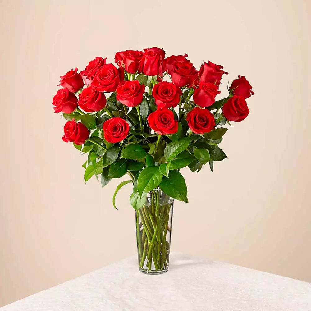 24 Rosas Que Enamoran, Regalo De Aniversario, Rosas Para Compromiso, Flores Para Regalar De Cumpleaños, Hermosas Rosas Rojas En Jarrón De Vidrio Transparente Para Decorar y Regalar, Rosas Rojas, Entregamos Sus Flores en Orlando FL, Florista, Floristería. Fresh Flowers Orlando