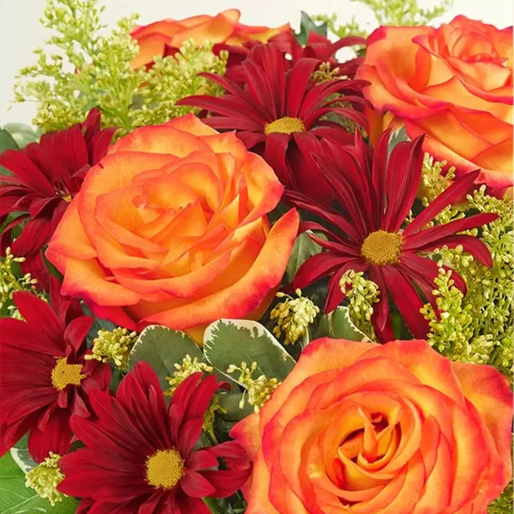 Dulce Ámbar, Rosas En Colores Otoño, Margaritas Rojas, Flores Para Decoración De Ambientes, Entregamos Sus Flores en Orlando FL, Florista, Floristería. Fresh Flowers Orlando