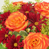 Dulce Ámbar, Rosas En Colores Otoño, Margaritas Rojas, Flores Para Decoración De Ambientes, Entregamos Sus Flores en Orlando FL, Florista, Floristería. Fresh Flowers Orlando