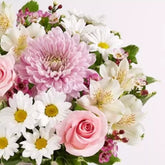 Flores Para Mamá es el regalo perfecto para demostrarle a tu mamá cuánto la quieres, este ramo incluye elegantes rosas, clásicas margaritas, delicadas astromelias y vibrantes claveles, entrega de flores para regalar a domicilio en Orlando, Fresh Flowers Orlando