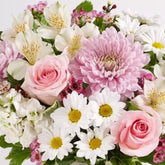 Flores Para Mamá es el regalo perfecto para demostrarle a tu mamá cuánto la quieres, este ramo incluye elegantes rosas, clásicas margaritas, delicadas astromelias y vibrantes claveles, entrega de flores para regalar a domicilio en Orlando, Fresh Flowers Orlando