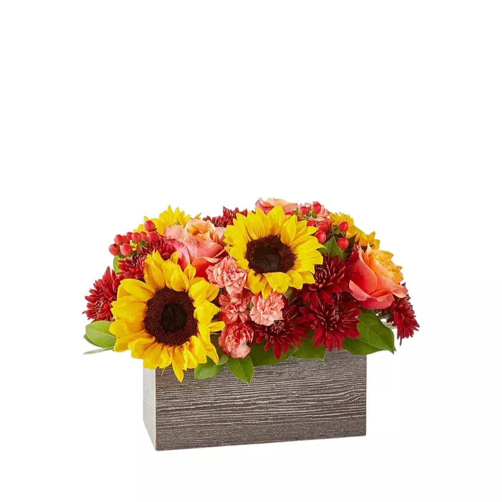 Girasoles y gerberas sobre base de madera