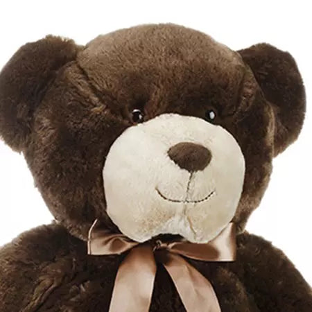 Introducing our large Brown Bear! Come face to face with this magnificent creature and experience the wild in a whole new way. Fresh Flowers Orlando Florist, head view