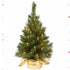 Majestic Fir, medium size, packed in a 18" in (45 cm) comes with lights for indoor use, PVC material, decorative Christmas tree, Christmas decoration, Christmas flowers, Christmas Holiday, Florist Orlando, FL