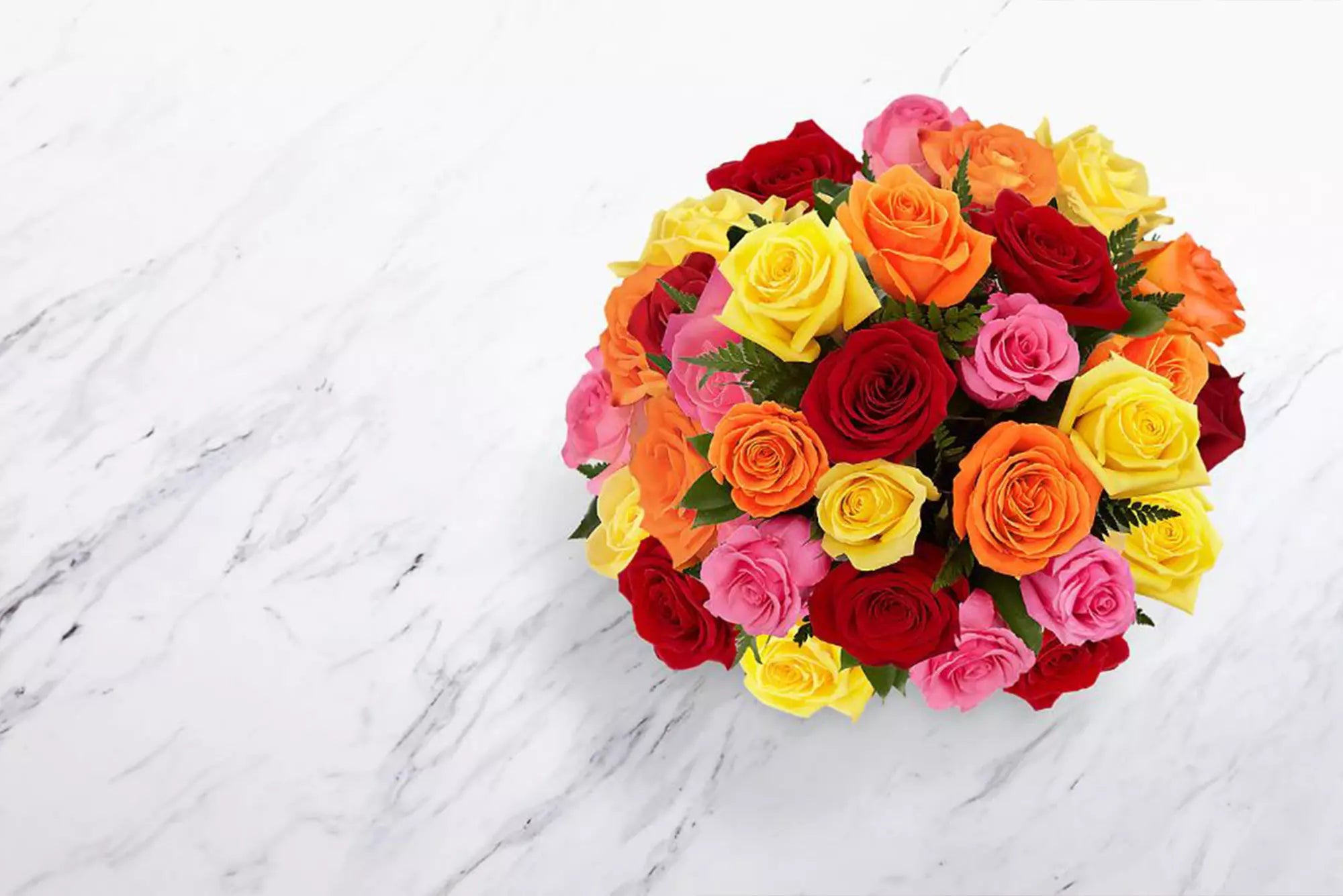 Roses colors, Rosas de colores, banner promocional Fresh Flowers Orlando