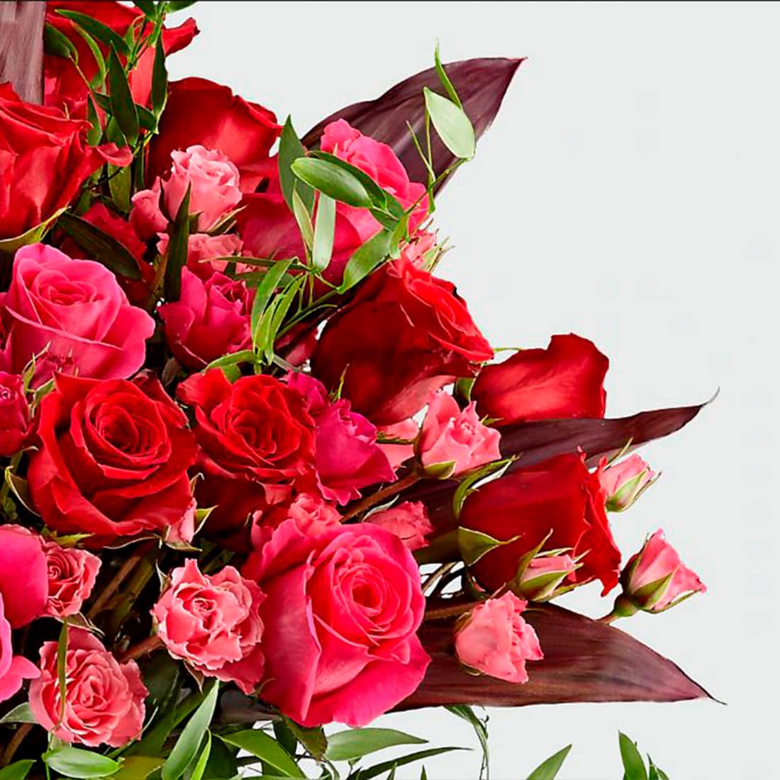 Fresh Flowers Orlando Regala Flores y Sonrrisas - Colección Love and Romance Flowers