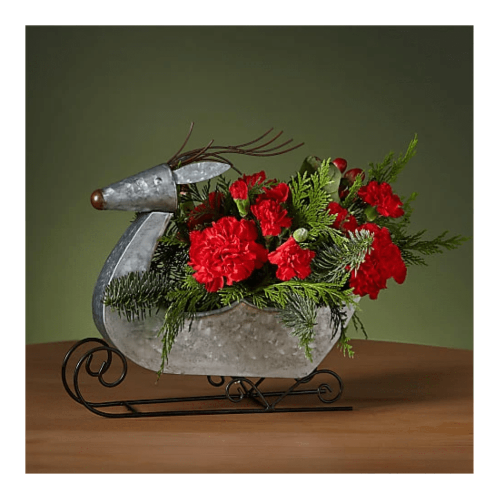 Prancer Bouquet (Standard). Vuele a la víspera de Navidad con este elegante ramo de Prancer diseñado en un festivo trineo de renos. Detalles del arreglo: Rosas, Clavel, Colores Verdes de Navidad, Domicilio Gratis Orlando FL, Fresh Flowers Orlando.