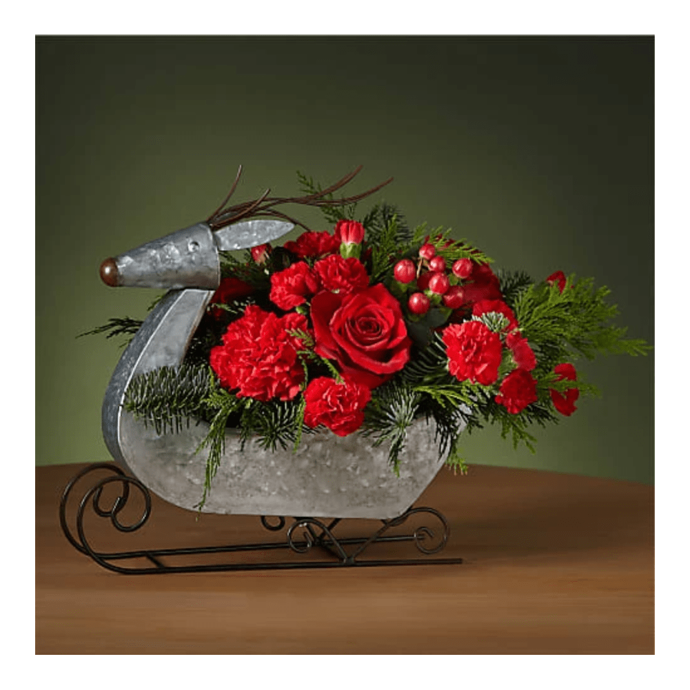 Prancer Bouquet (Deluxe). Vuele a la víspera de Navidad con este elegante ramo de Prancer diseñado en un festivo trineo de renos. Detalles del arreglo: Rosas, Clavel, Colores Verdes de Navidad, Domicilio Gratis Orlando FL, Fresh Flowers Orlando.