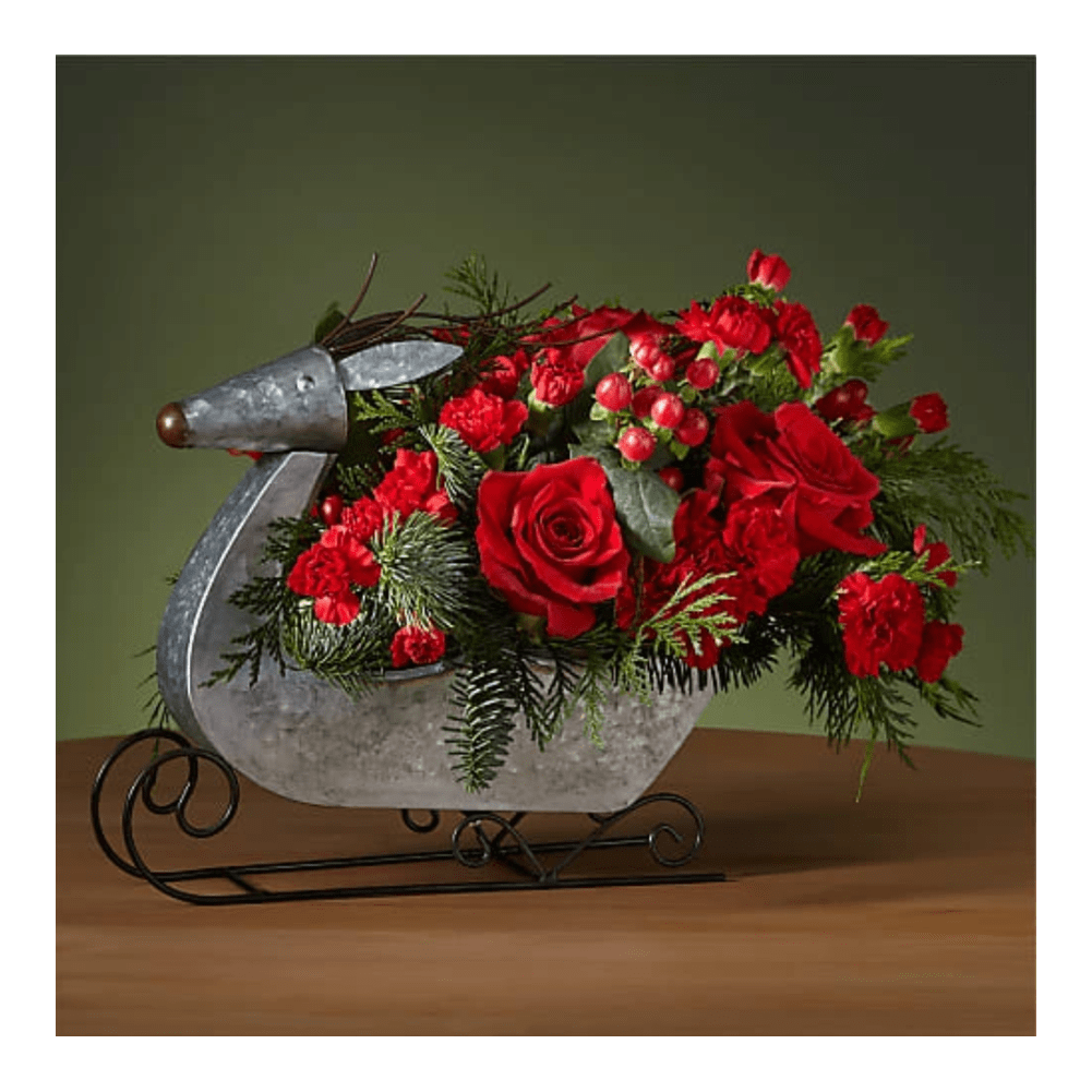 Prancer Bouquet (Premium). Vuele a la víspera de Navidad con este elegante ramo de Prancer diseñado en un festivo trineo de renos. Detalles del arreglo: Rosas, Clavel, Colores Verdes de Navidad, Domicilio Gratis Orlando FL, Fresh Flowers Orlando.