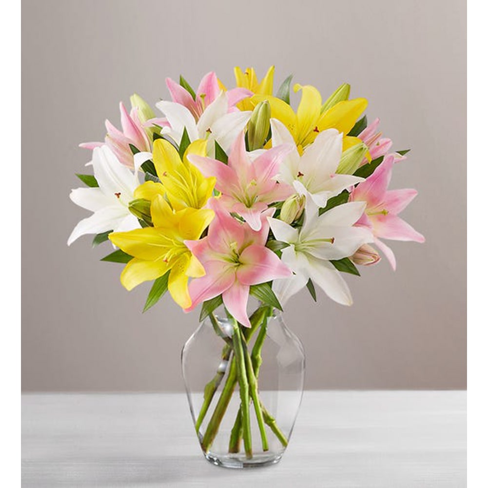 Lirios Dulce Primavera