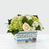 Baby Boy Bouquet, Welcome their baby boy with a bouquet that says “Hello, little man!” This arrangement features a stunning combination of roses, hydrangea and carnations to help the growing family celebrate their new adventure. Fresh Flowers Orlando.