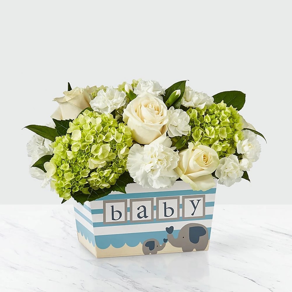 Baby Boy Bouquet, Welcome their baby boy with a bouquet that says “Hello, little man!” This arrangement features a stunning combination of roses, hydrangea and carnations to help the growing family celebrate their new adventure. Fresh Flowers Orlando.