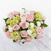 Baby Girl Bouquet, flowers for all occasions and decoration, Charming shades of pink and green are artfully composed through a mix of roses, carnations and hydrangea blooms.