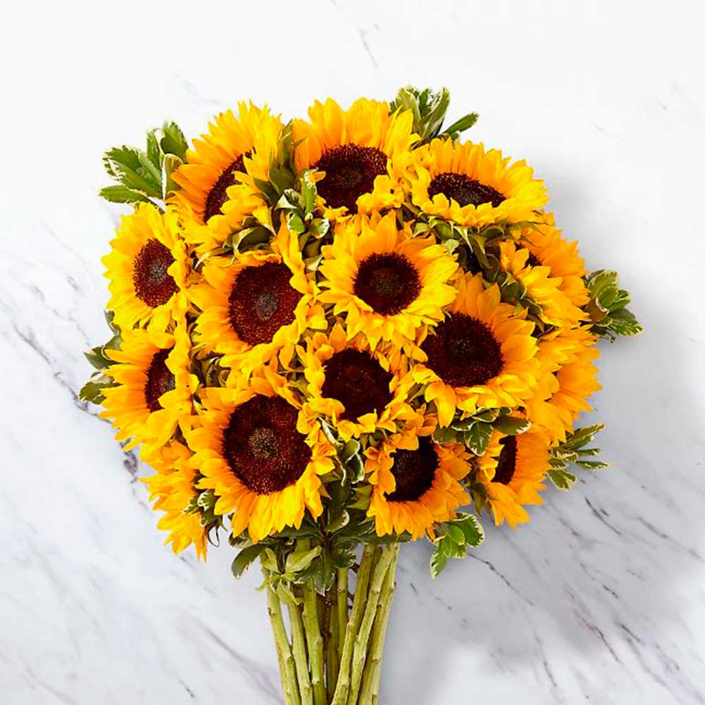 Girasoles, presentación bouquet 20 girasoles, a medida que cambia el clima, el otoño se está presentando, presentamos los girasoles con nuestro jarrón transparente o en ramo (bouquet) es un hermoso regalo para cumpleaños, simpatía o simplemente porque es una buena ocasión Fresh Flowers Orlando
