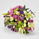 Lavender Fields Mixed Flower, white Asiatic Lilies, Purple Super Select Alstroemeria, Purple Button Pom, Lavender Daisy Pom, Purple Sinuata Statice, and an assortment of lush greens. Fresh Flowers Orlando.