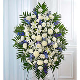 Pedestal Funeral Azul y Blanco, Size Large, Fresh Flowers Orlando. Standing spray arrangement with white roses, Asiatic lilies, football mums, carnations and monte casino; blue delphinium; accented with soft, lush greenery. Arreglo de ramo en pedestal con rosas blancas, lirios asiáticos, crisantemos, claveles y monte casino; espuela de caballero azul; acentuado con vegetación suave y exuberante.