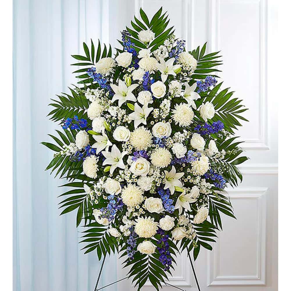 Pedestal Funeral Azul y Blanco, Size Large, Fresh Flowers Orlando. Standing spray arrangement with white roses, Asiatic lilies, football mums, carnations and monte casino; blue delphinium; accented with soft, lush greenery. Arreglo de ramo en pedestal con rosas blancas, lirios asiáticos, crisantemos, claveles y monte casino; espuela de caballero azul; acentuado con vegetación suave y exuberante.