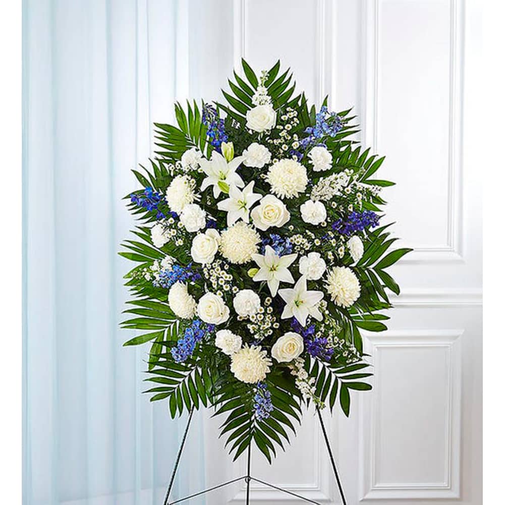 Pedestal Funeral Azul y Blanco, Size Small, Fresh Flowers Orlando. Standing spray arrangement with white roses, Asiatic lilies, football mums, carnations and monte casino; blue delphinium; accented with soft, lush greenery. Arreglo de ramo en pedestal con rosas blancas, lirios asiáticos, crisantemos, claveles y monte casino; espuela de caballero azul; acentuado con vegetación suave y exuberante.