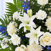 Pedestal Funeral Azul y Blanco, Fresh Flowers Orlando. Standing spray arrangement with white roses, Asiatic lilies, football mums, carnations and monte casino; blue delphinium; accented with soft, lush greenery. Arreglo de ramo en pedestal con rosas blancas, lirios asiáticos, crisantemos, claveles y monte casino; espuela de caballero azul; acentuado con vegetación suave y exuberante.