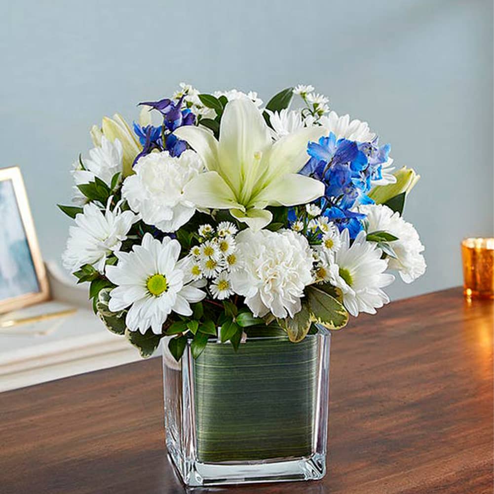 Sympathy Azul y Blanco, Small, Fresh Flowers Orlando. Our sympathy arrangement of fresh blue delphinium, white roses and lilies, expertly gathered together in a clear glass cube lined with Ti leaf ribbon, makes for an exquisite gesture of comfort and healing. Nuestro arreglo de condolencias de Blue Delphinium fresca, rosas blancas y lirios, decorado en un cubo de vidrio transparente forrado con una cinta de hojas frescas, lo convierte en un exquisito gesto de consuelo y sanación.