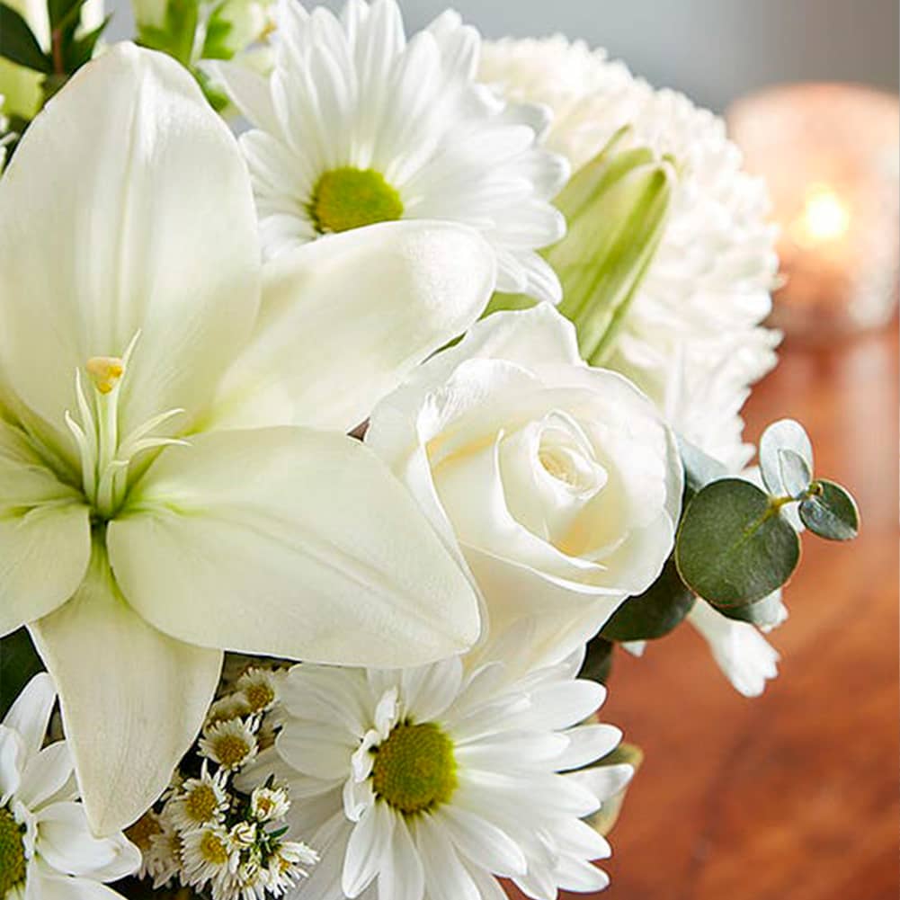 Sympathy Blanco, Fresh Flowers Orlando. Our sympathy arrangement of angelic white roses, lilies, mums, daisy poms and more, expertly arranged in a clear glass cube lined with a Ti leaf ribbon, makes for an exquisite gesture of comfort and healing. Nuestro arreglo de condolencias de rosas blancas angelicales, lirios, crisantemos, pompones de margaritas y más, hábilmente dispuestos en un cubo de vidrio transparente forrado con una cinta de hojas de Ti.